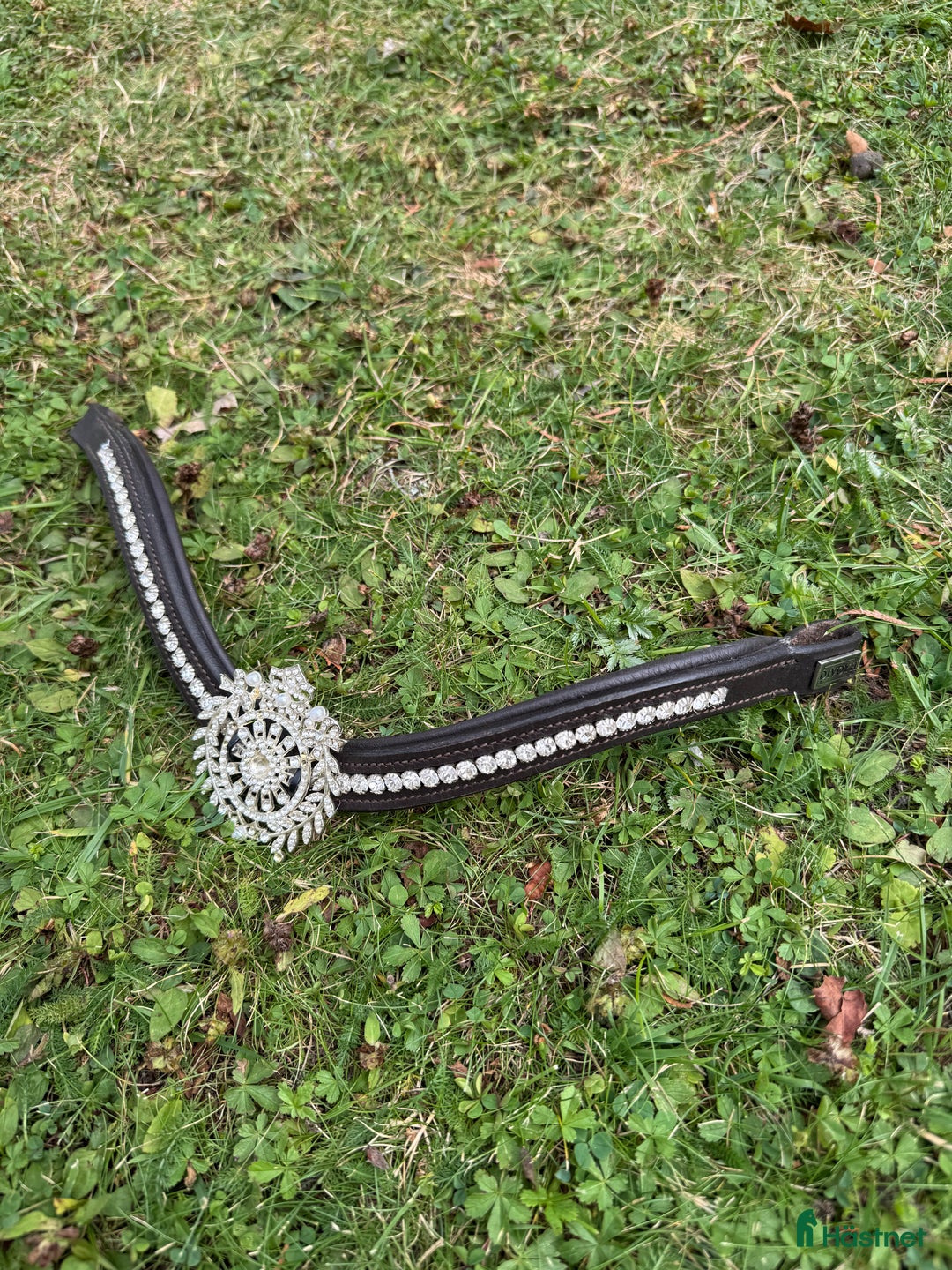 Övrig Hästutrustning hästutrustning till salu: Märkesprylar i Täby - Annons 7