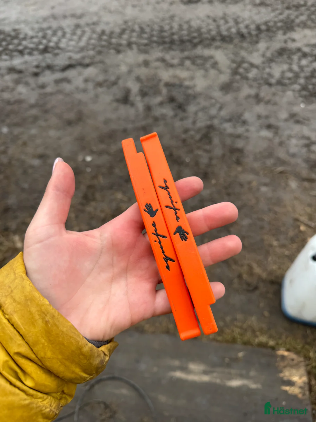 Sadeltillbehör hästutrustning till salu: Equipe säkerhets båge  - Annons 1