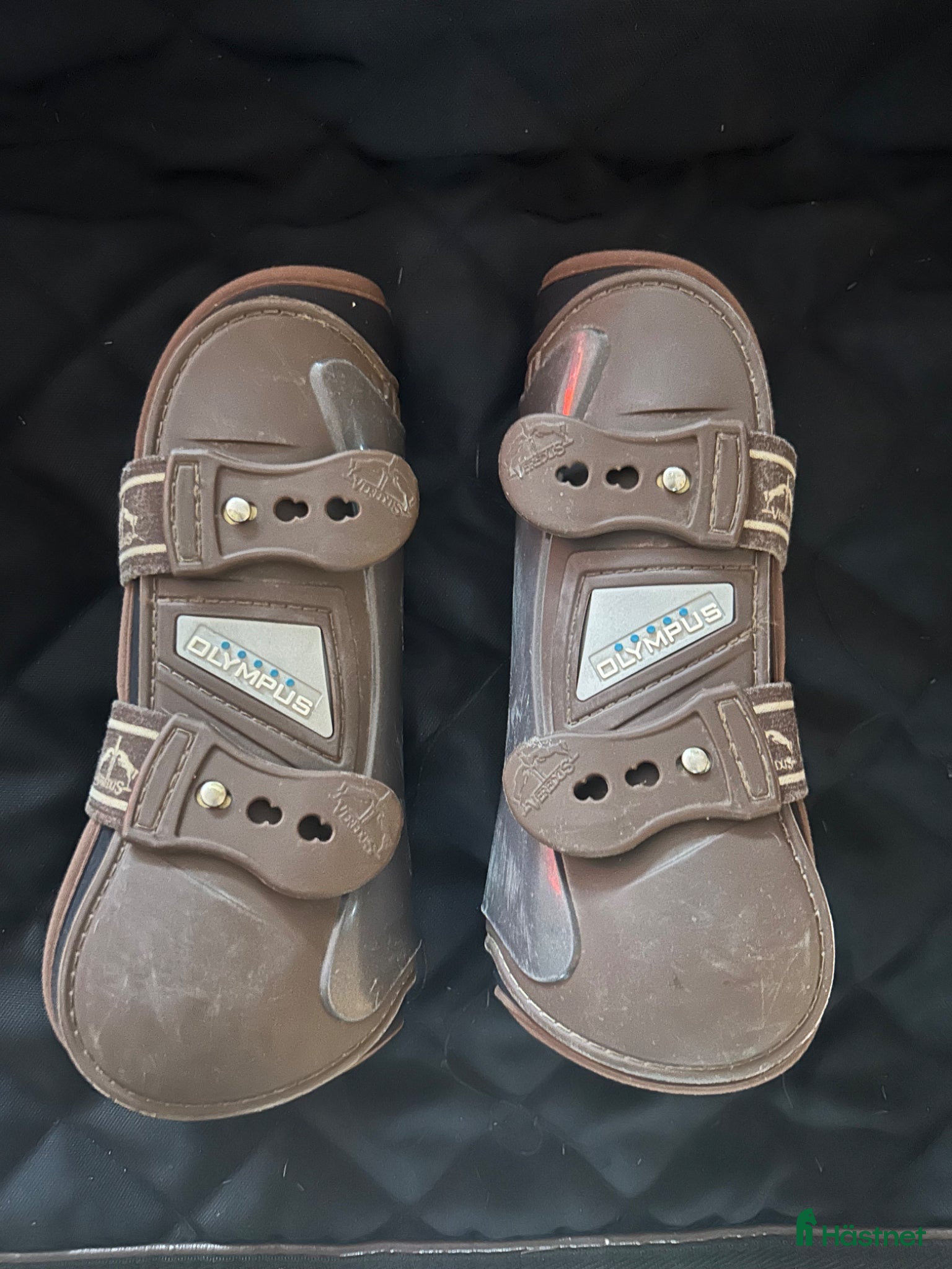 Benskydd hästutrustning Veredus Olympus Stl S - Annons 1