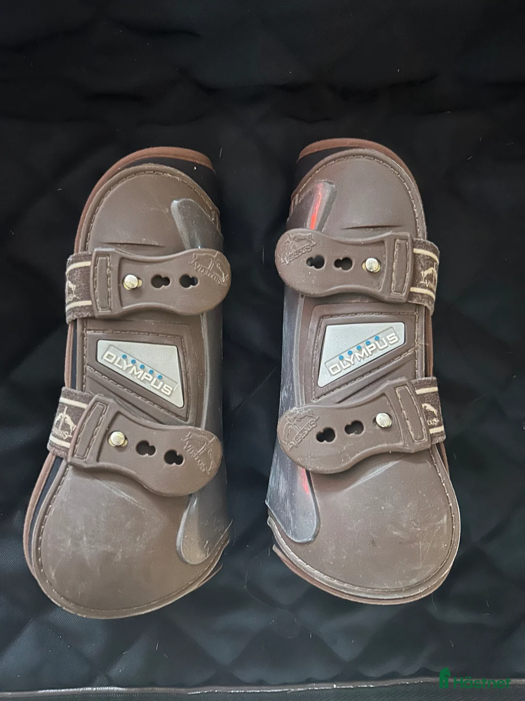 Benskydd hästutrustning till salu: Veredus Olympus Stl S - Annons 1