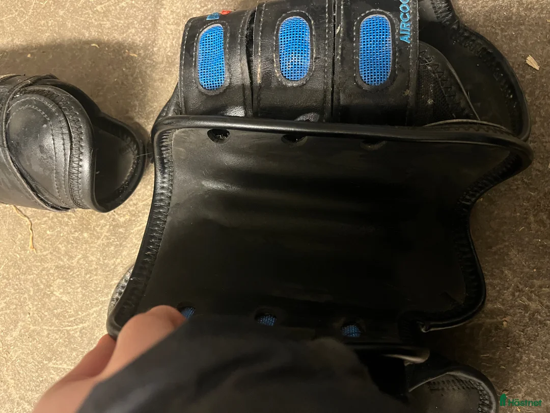 Benskydd hästutrustning till salu: Terräng benskydd - Annons 2