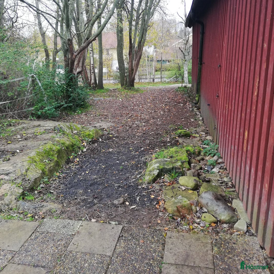  stallplats finnes: Ledig lösdrift I Hisings kärra (Gerrebacka) i Hisings Kärra - Annons 7