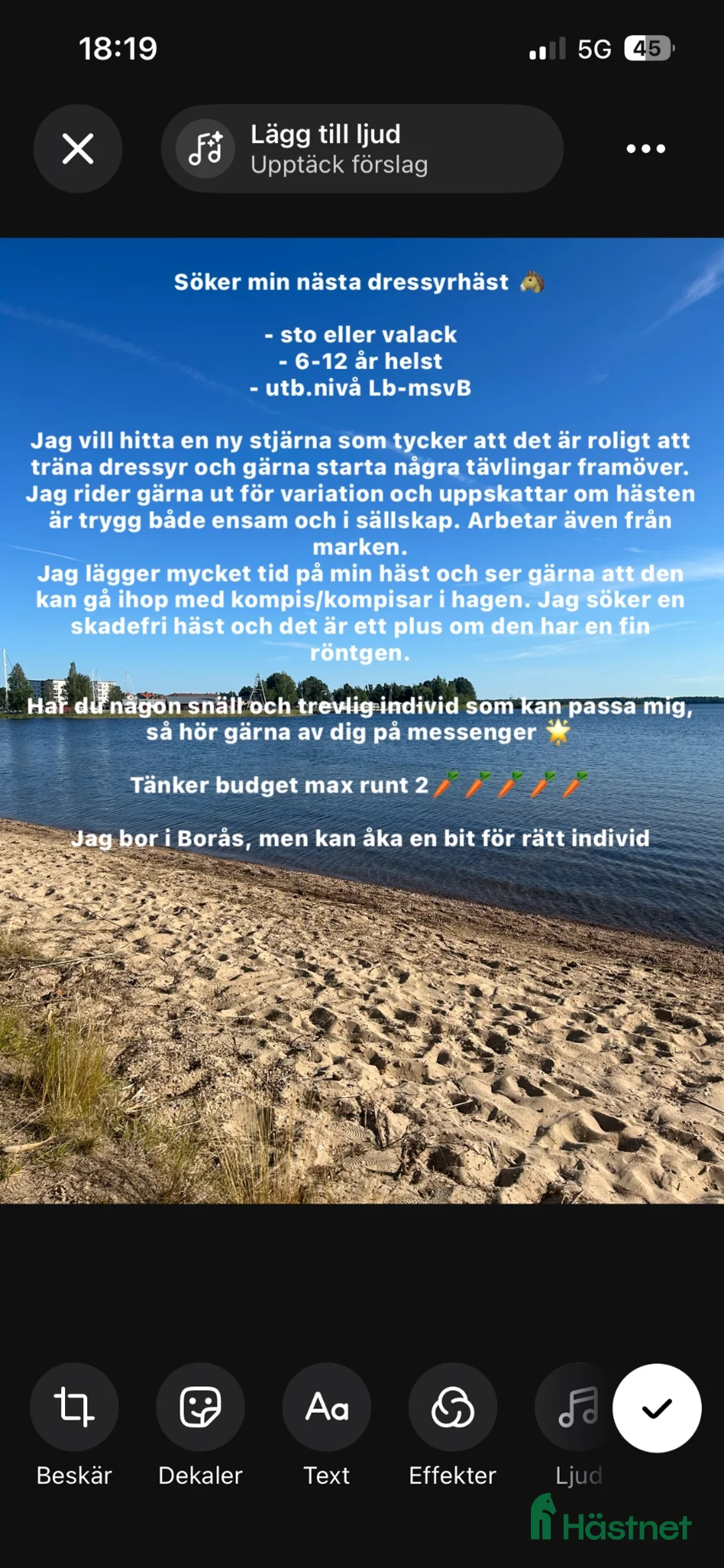 Dressyr hästar sökes: Söker min nästa stjärna  i Dalsjöfors - Annons 2