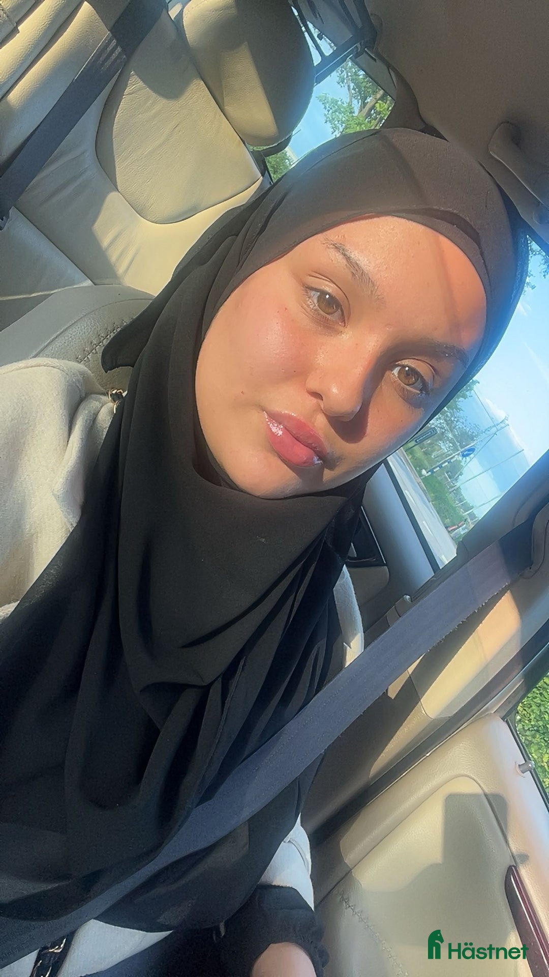  medryttarhäst sökes: Medryttarhäst sökes i Malmö - Annons 1