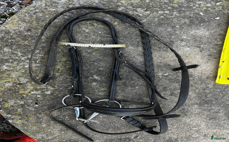 Träns hästutrustning till salu i Höör - Annons 8