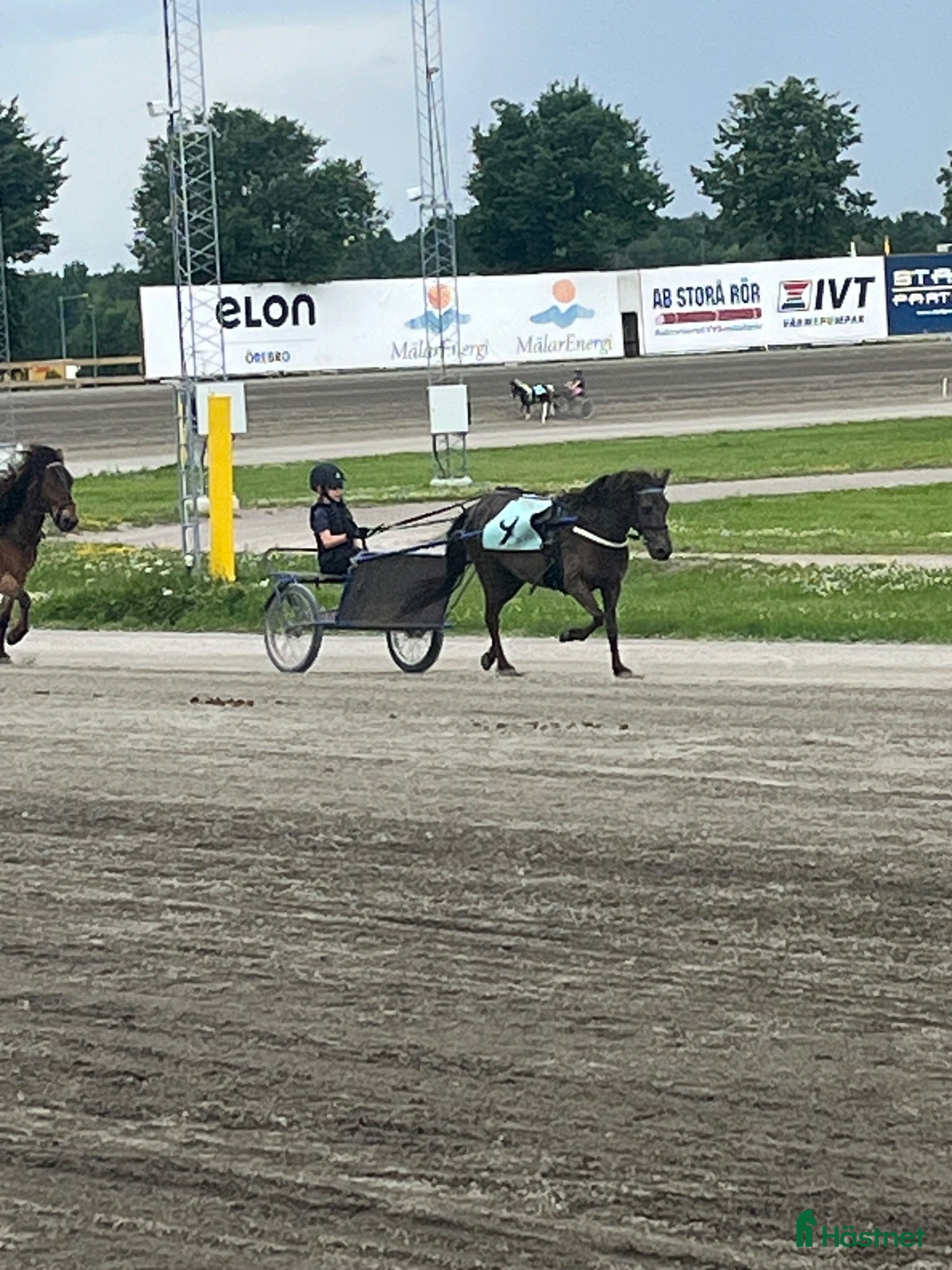  hästar Söker Shetlandsponny som gått på travet - Annons 3
