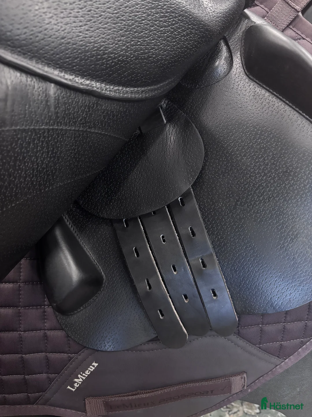 Sadlar hästutrustning till salu: Equipe Expression Special i Hova - Annons 3