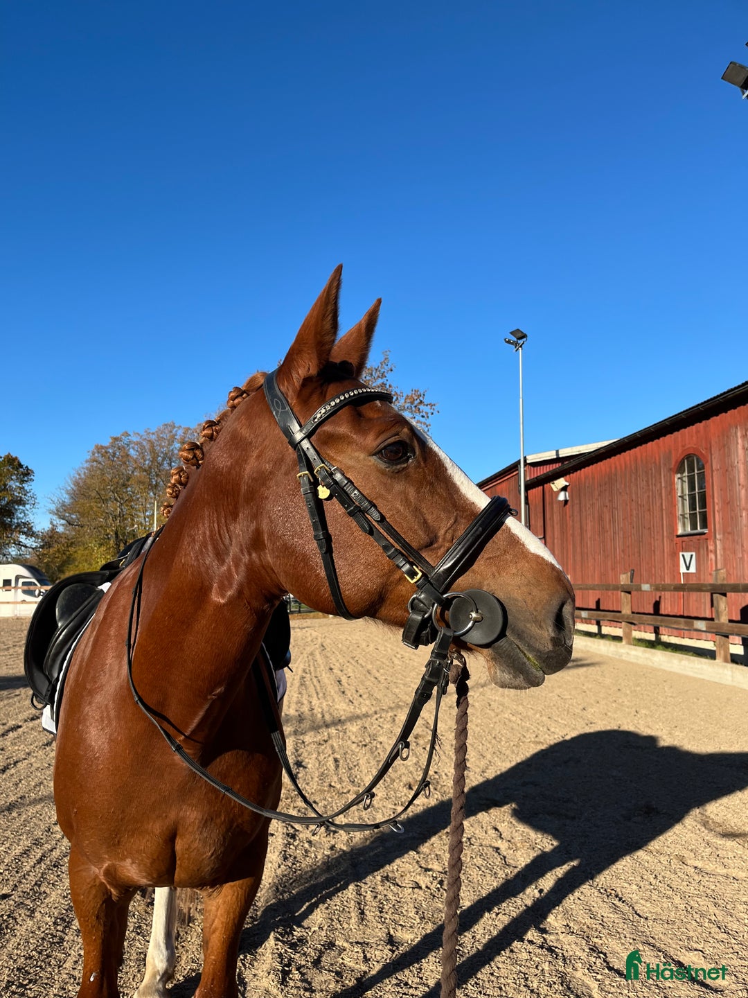 Övrig Hästutrustning hästutrustning till salu: Hästtäcken/saker sökes i Västerhaninge - Annons 1