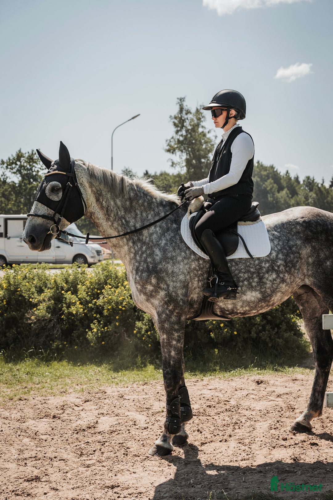 Galleribild {{count}}