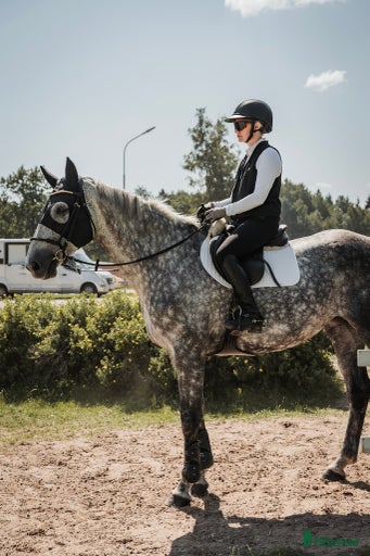 Galleribild {{count}}