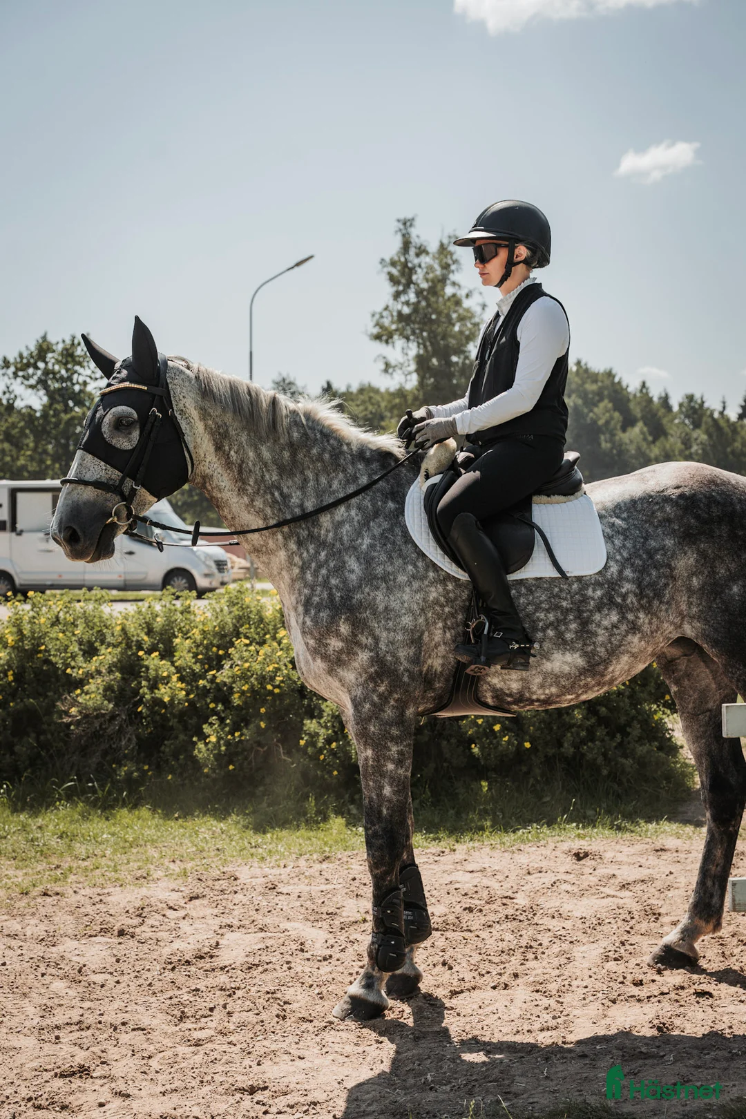 Galleribild {{count}}