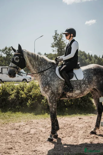 Galleribild {{count}}