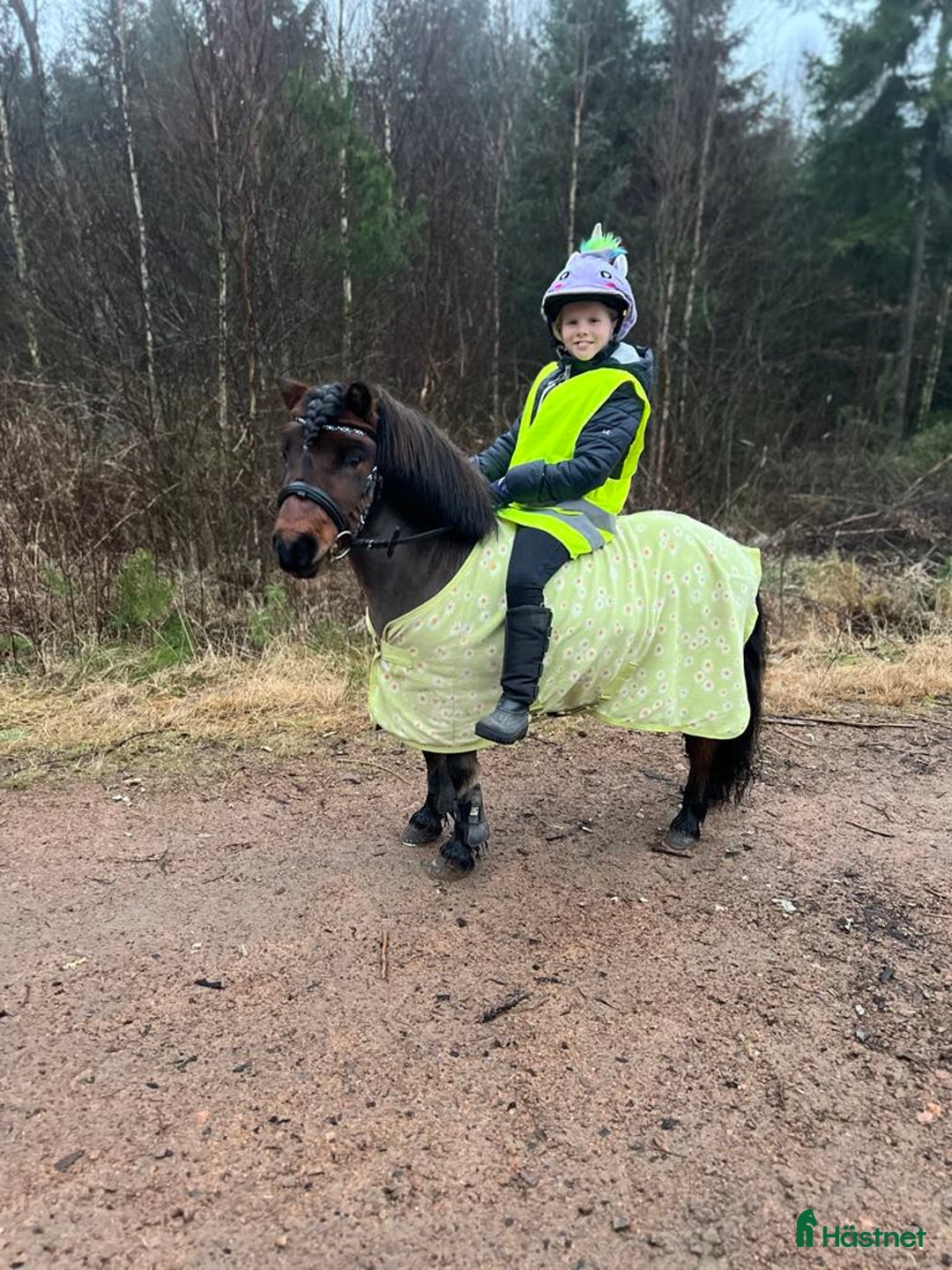  medryttarhäst finnes: Vi söker medryttare till vår A-ponny! i Åled - Annons 5