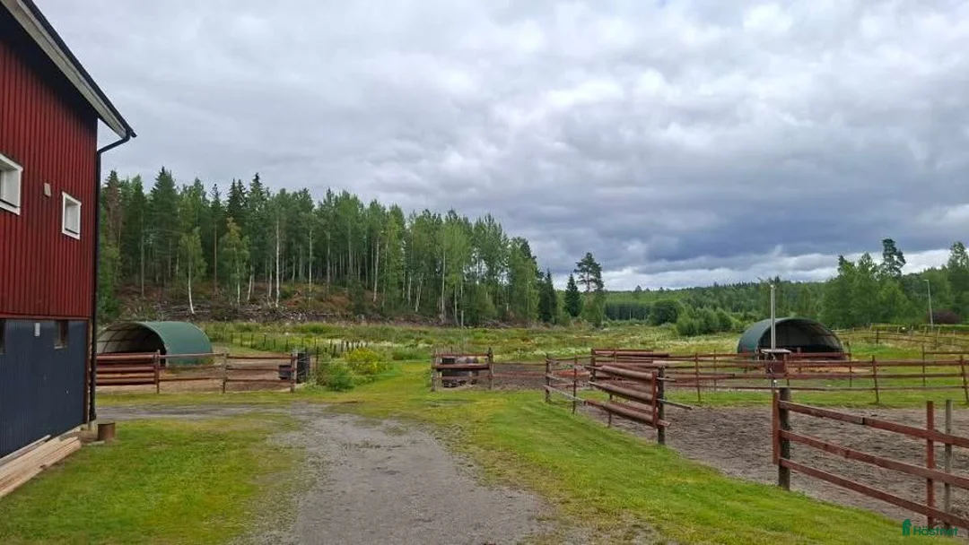  stallplats finnes: Stallplatser & lösdrift i Iggesund / Hudiksvall i Iggesund - Annons 2