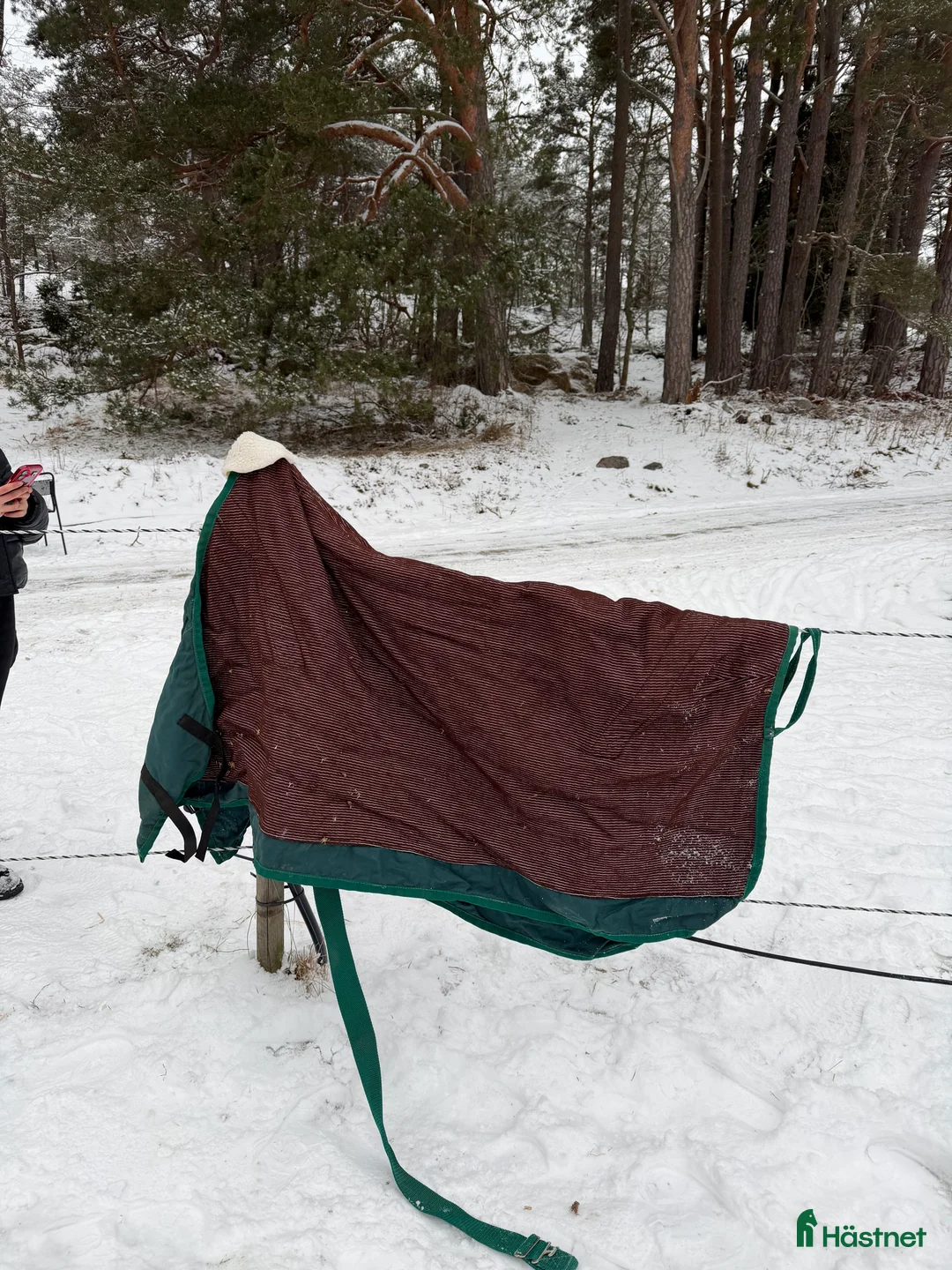 Täcken hästutrustning till salu: Grönt täcke 💚 i Värmdö - Annons 2