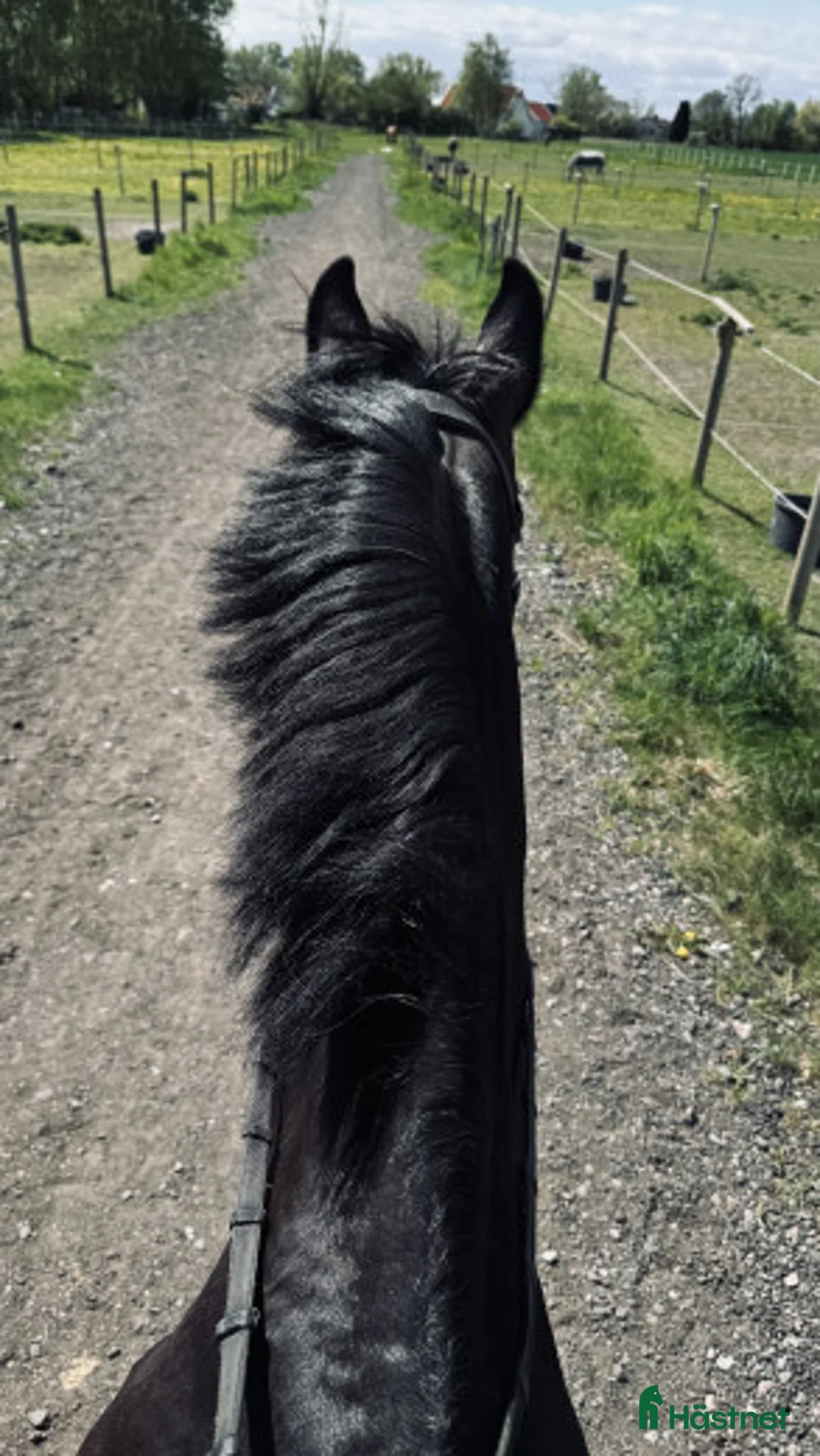  hästjobb finnes: Söker Extrajobb — Sommarjobb - Annons 2