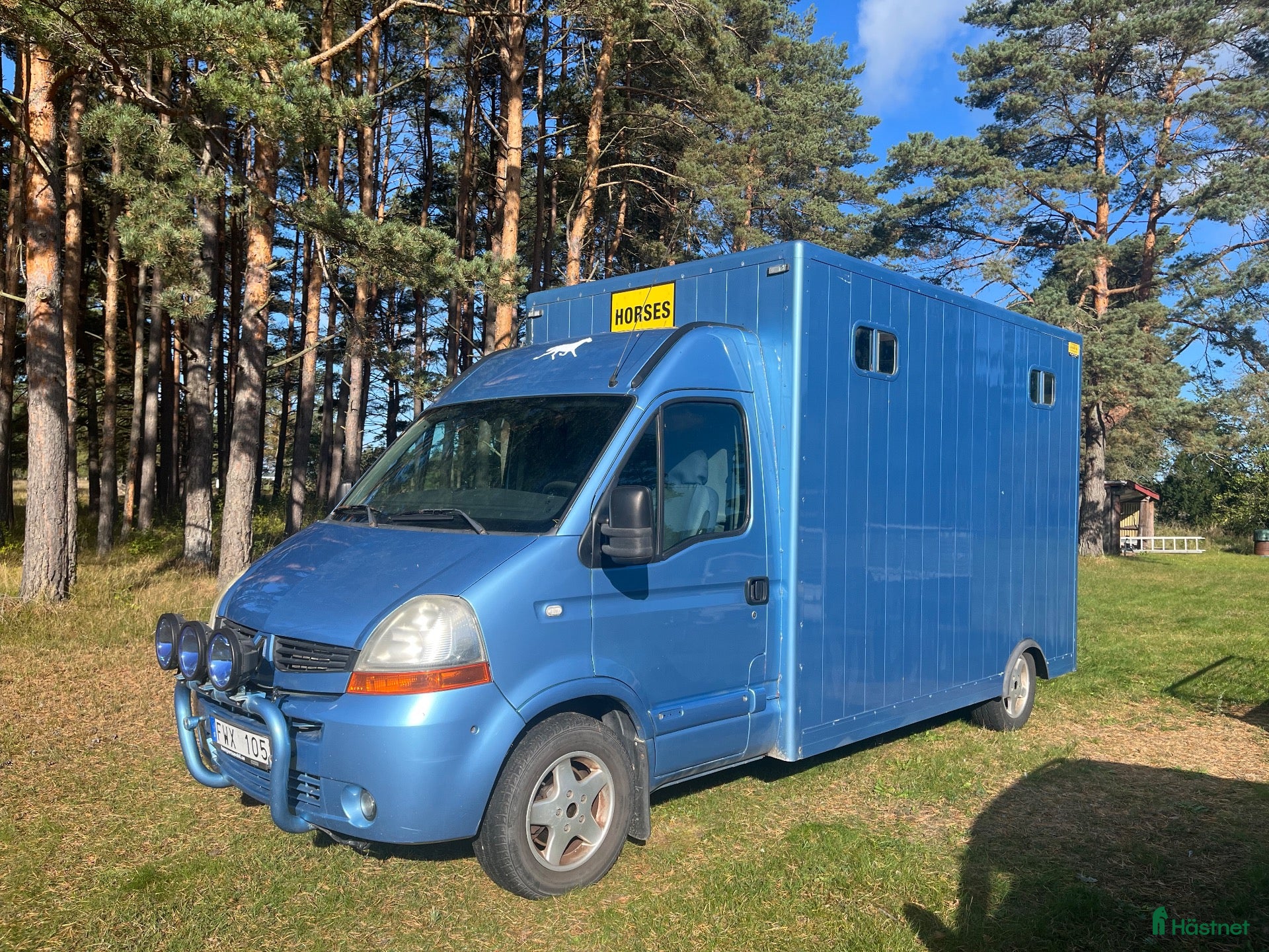 Hästlastbilar  fordon & transport till salu: Renault Master hästlastbil -2007 - diesel - Annons 5
