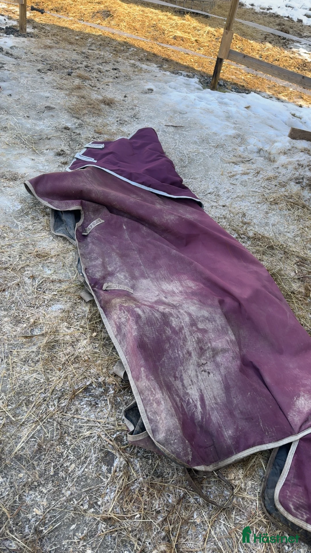 Täcken hästutrustning till salu: Amigo täcke med hals - Annons 2