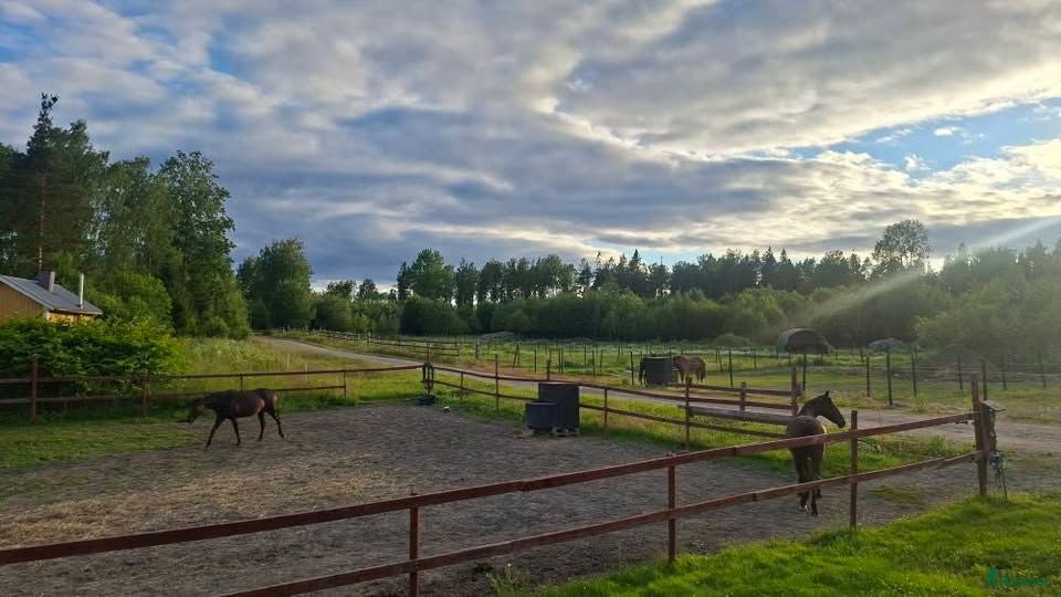  stallplats Stallplatser & lösdrift i Iggesund / Hudiksvall - Annons 4