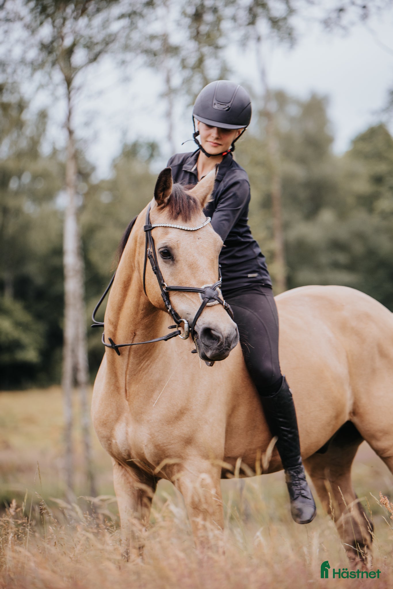  hästar Pigg och positiv ponny - Annons 8