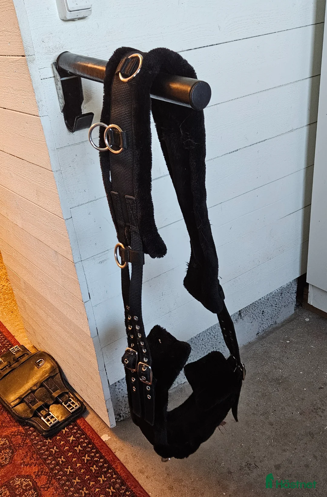 Övrig Hästutrustning hästutrustning till salu: Tömkörningsgjord - Annons 2