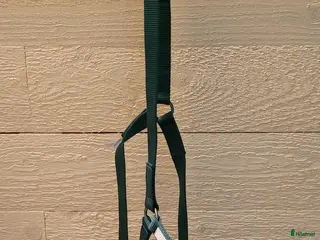 Övrig Travutrustning trav till salu: Förbygel, grimmor - Annons 1