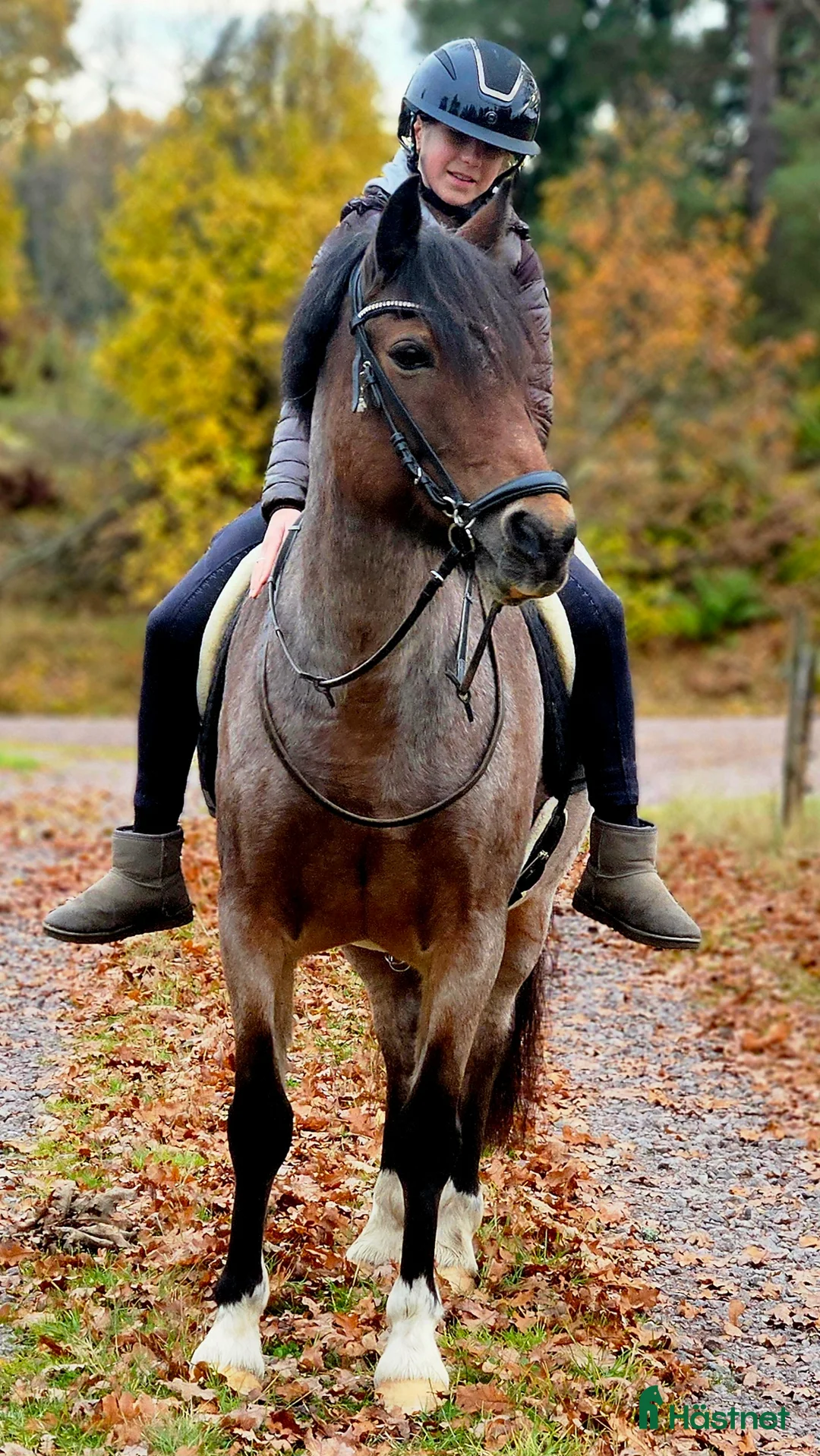 Galleribild {{count}}