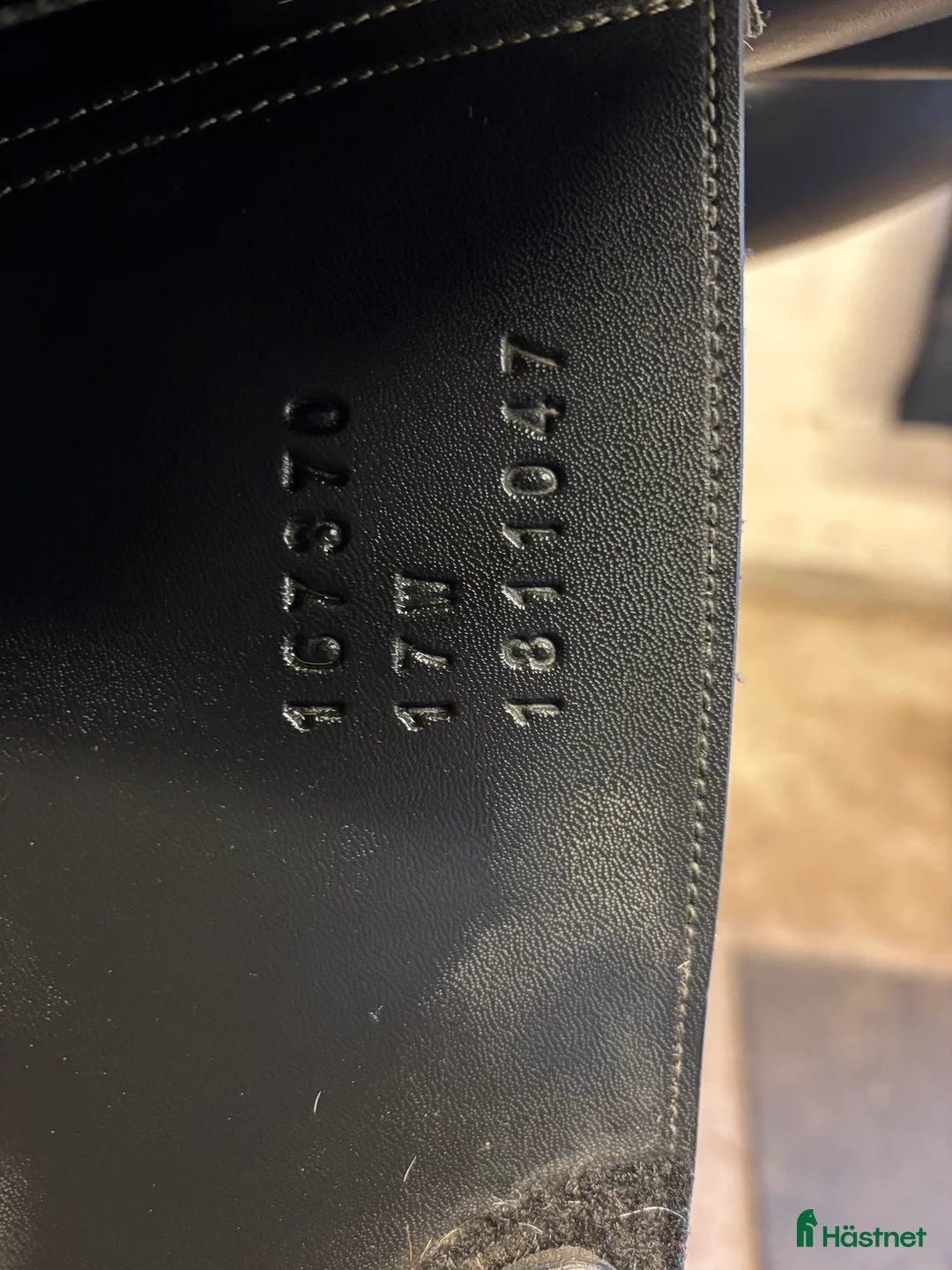 Sadlar hästutrustning till salu: Lippo Enzo  i Lammhult - Annons 5