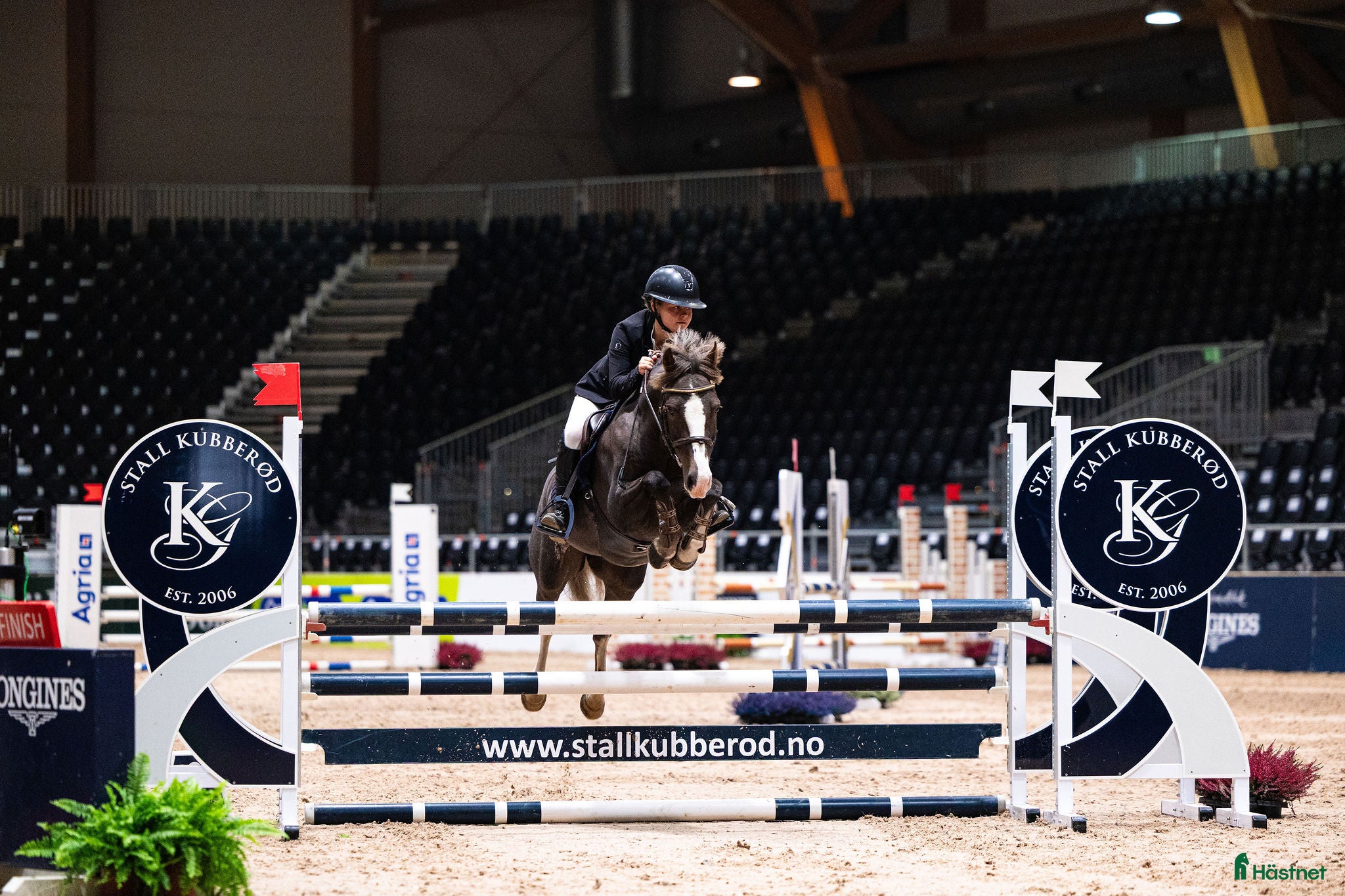  hästar Fantastisk kat.2 sprangponni selges i Miland - Annons 10