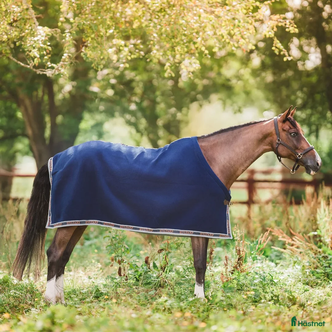 Täcken hästutrustning till salu: Fina Hyltarp saker  i Strömstad - Annons 2