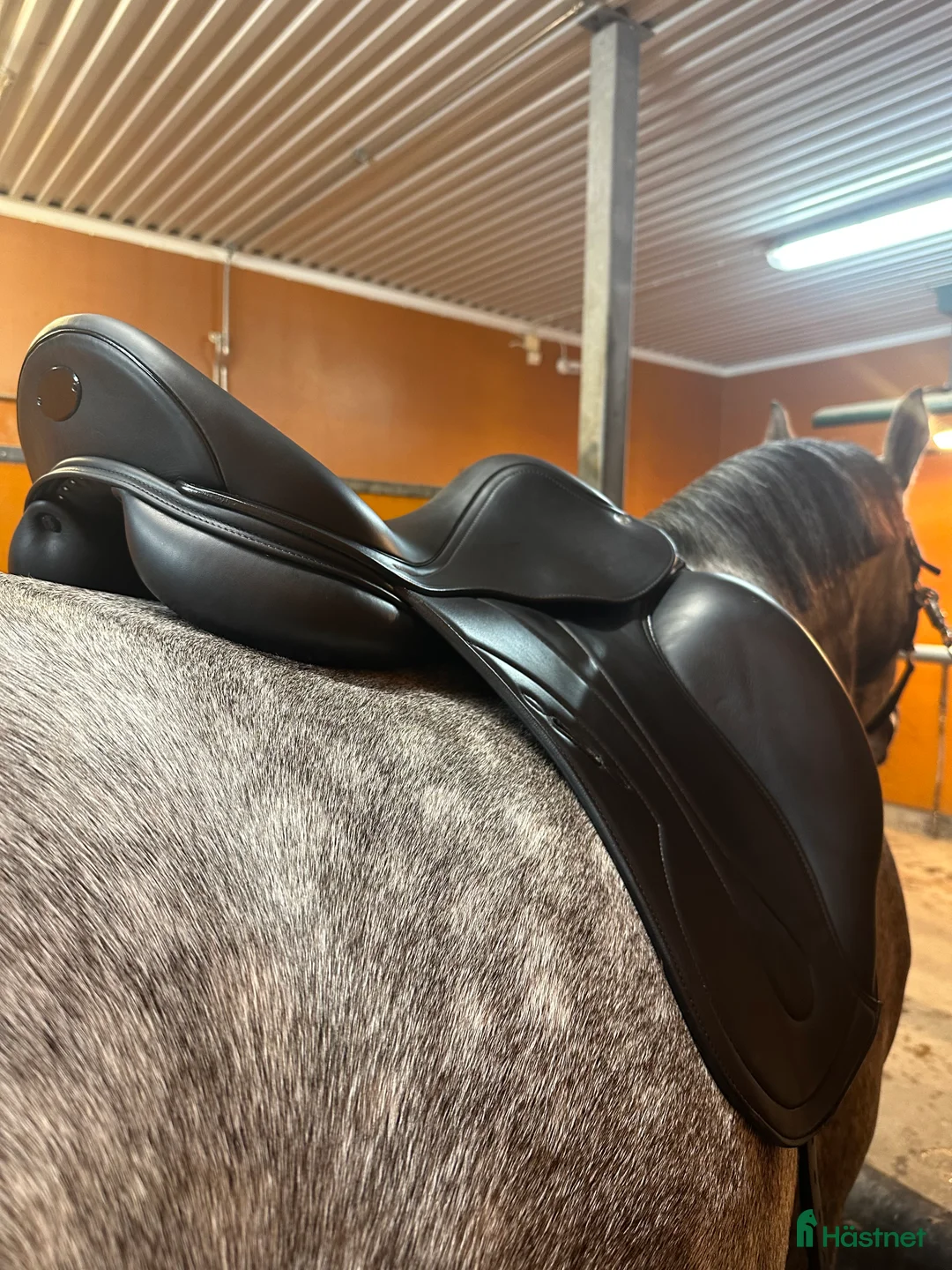 Sadlar hästutrustning till salu: Equipe Oracle i Nyskick i Norra Sorunda - Annons 6