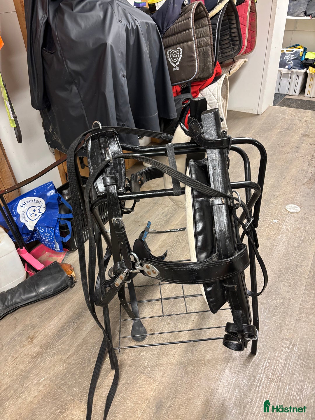 Körselar körning till salu: Loksele ponny i Njutånger - Annons 4