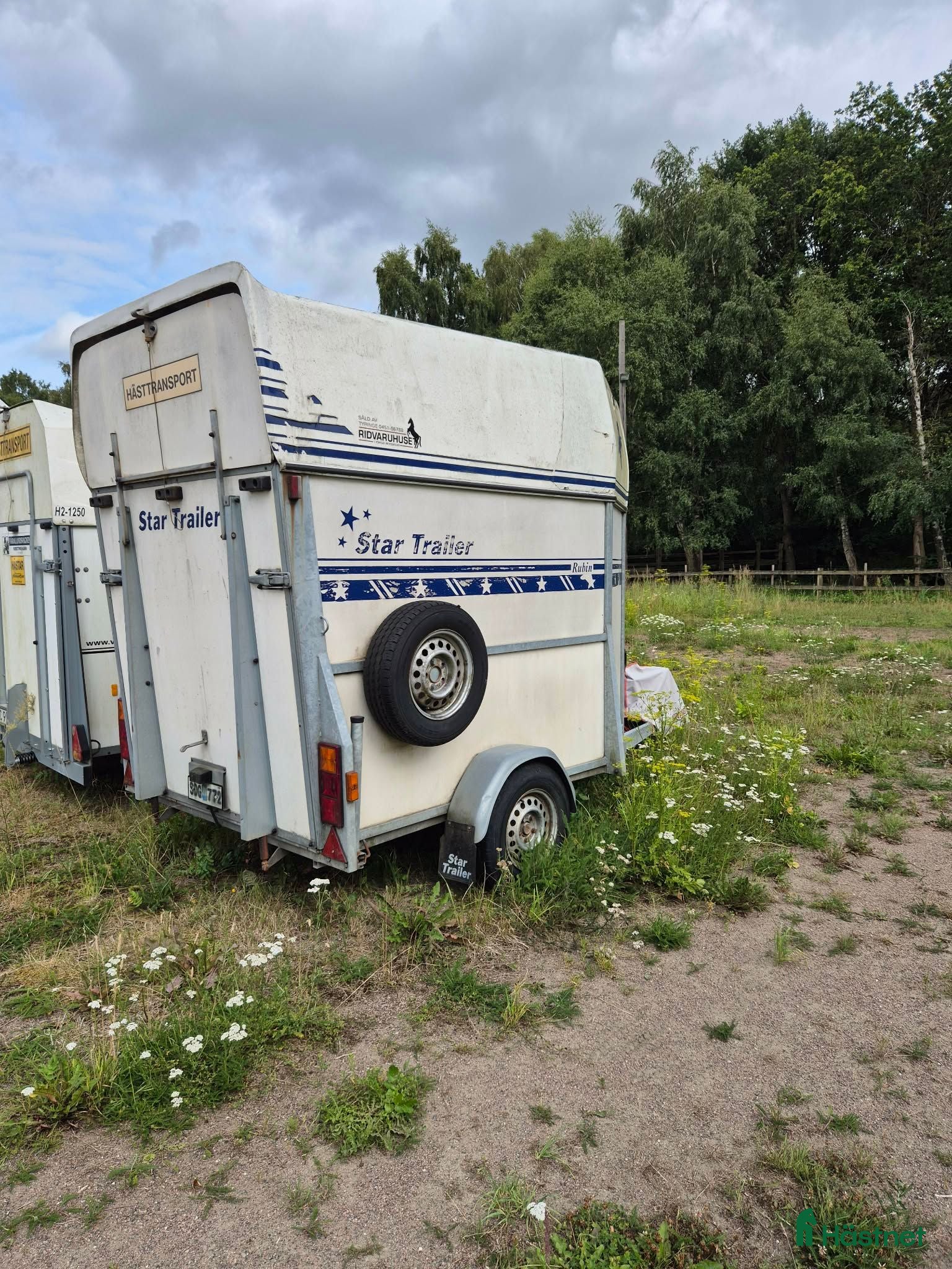 Hästtransporter  fordon & transport till salu: Star trailer Rubin  - Annons 12