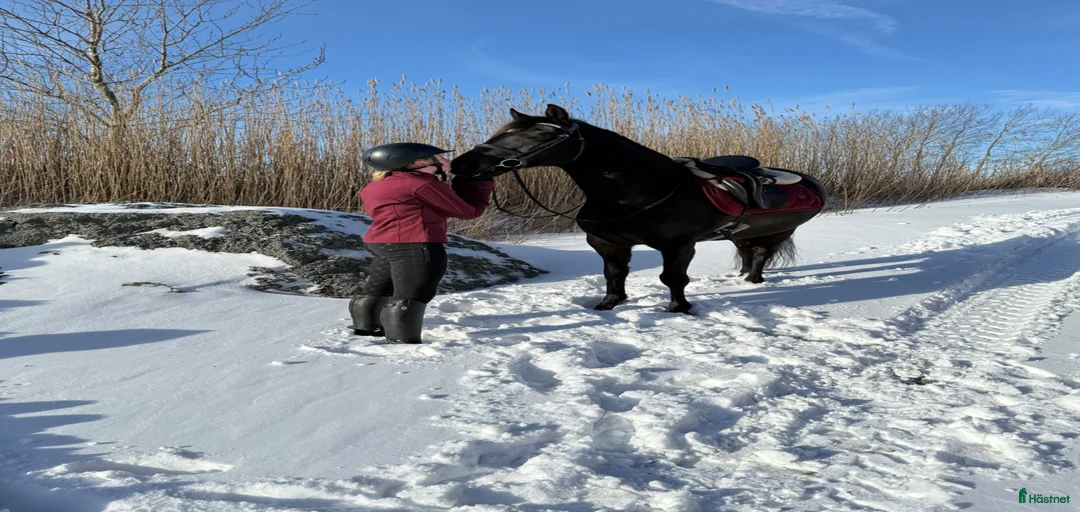 Galleribild {{count}}