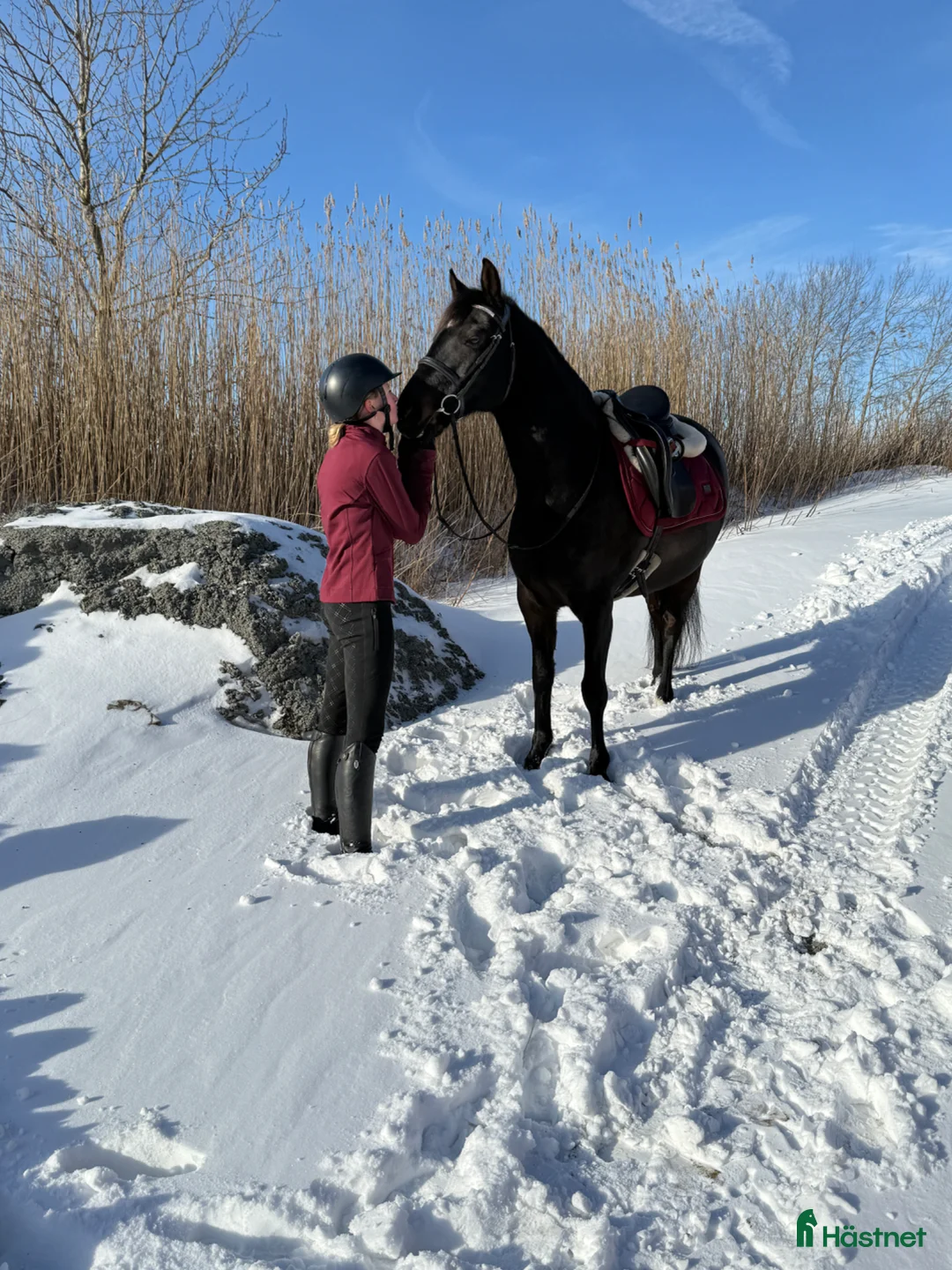 Galleribild {{count}}