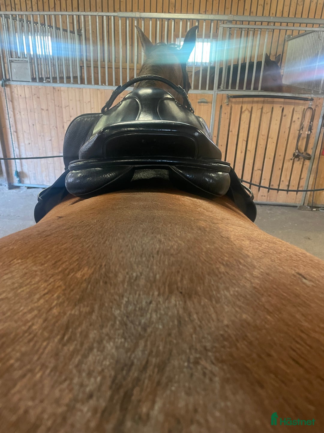 Sadlar hästutrustning till salu: Kvalitetssadel Morris and Noland i Göteborg - Annons 4