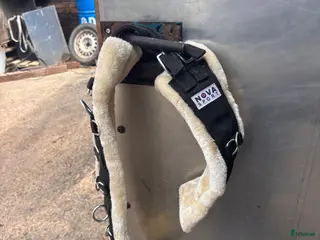 Körselar körning till salu: Nova sport tömkörningsgjord - Annons 2