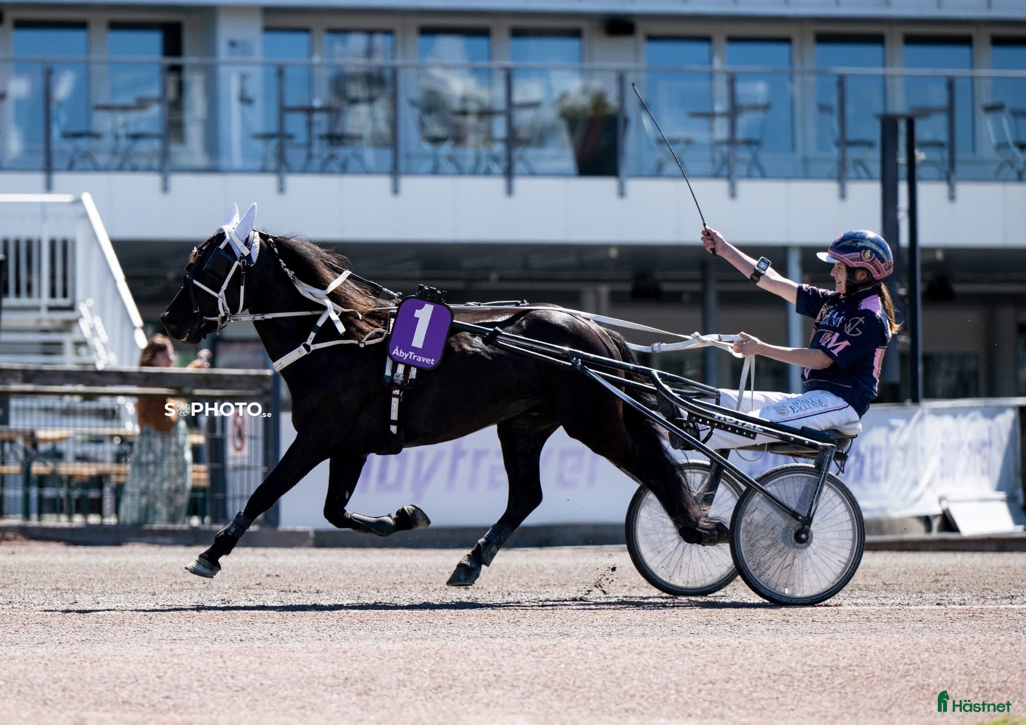  hästar Ny annons! Vår fina superkille letar ev nytt hem - Annons 11