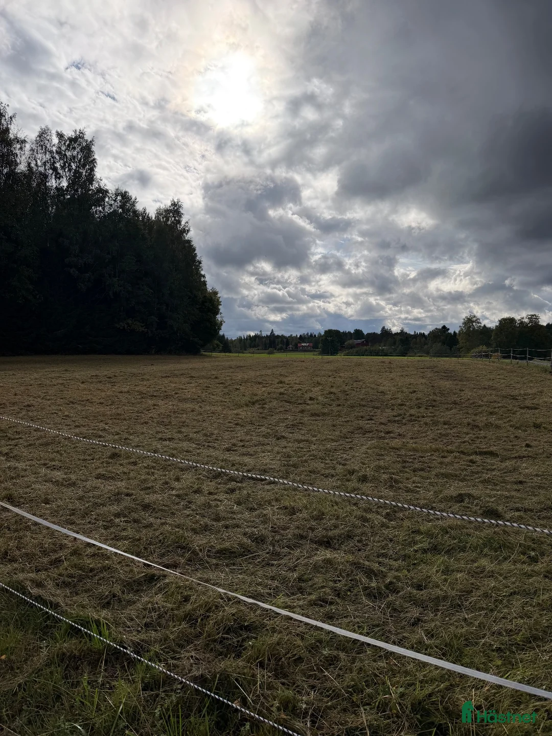  stallplats finnes: Stallplats i Avesta  - Annons 3