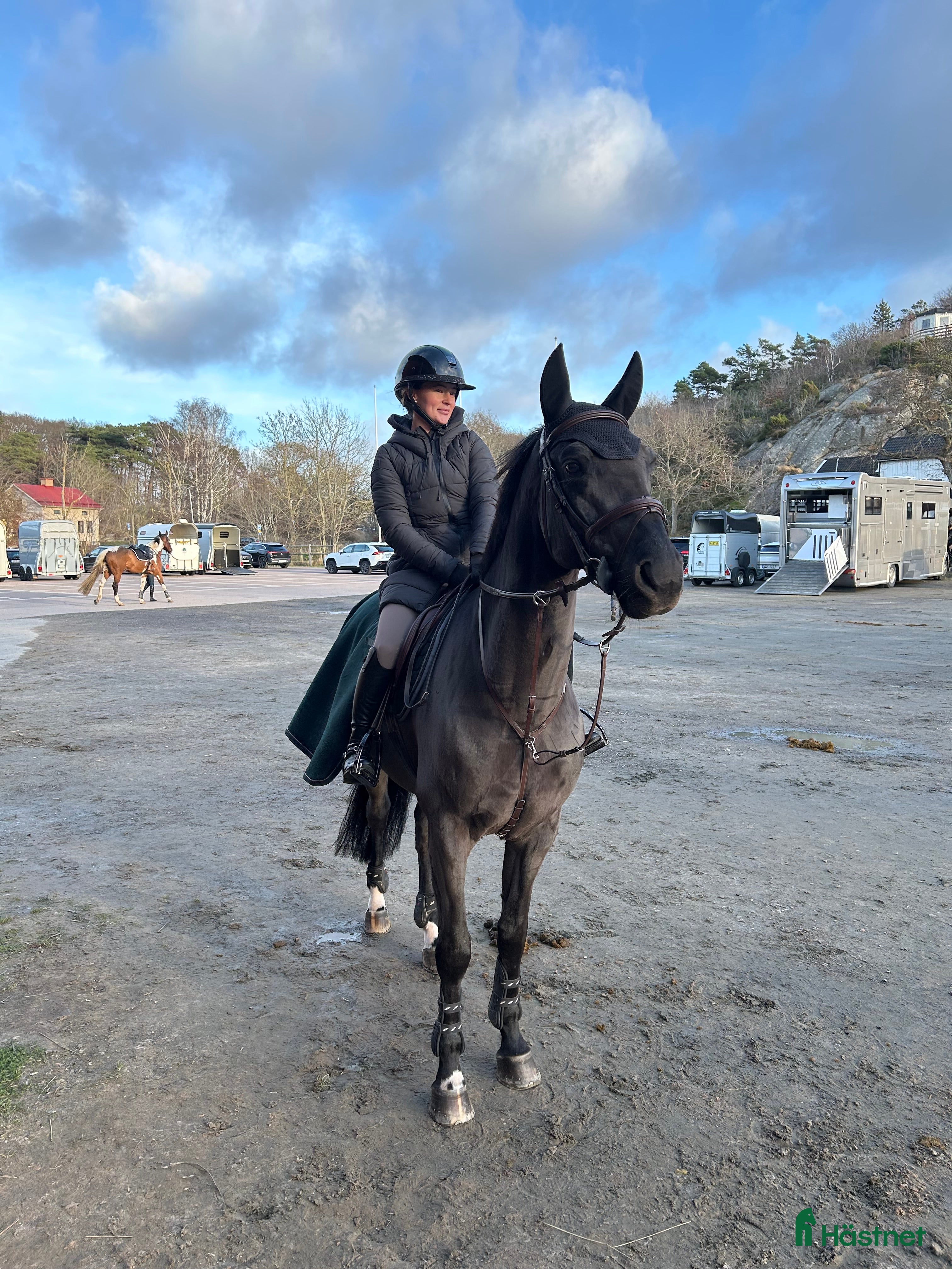 Hoppning hästar till salu: Fantastisk SWB valack i Billdal - Annons 1