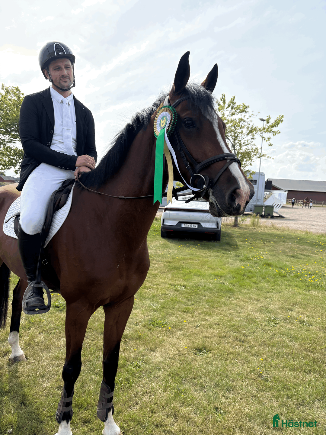 Hoppning hästar till salu: Fantastisk valck för hoppning  - Annons 1