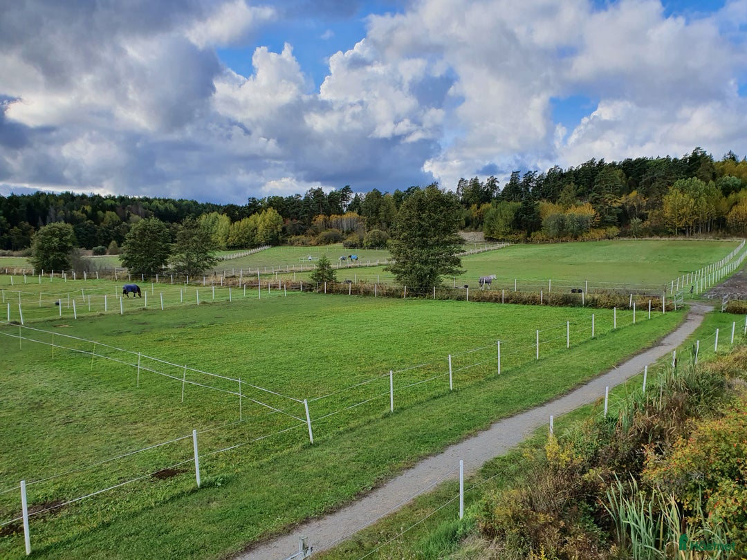  stallplats finnes: 2 stallplatser med ridhus Åkersberga i Åkersberga - Annons 6