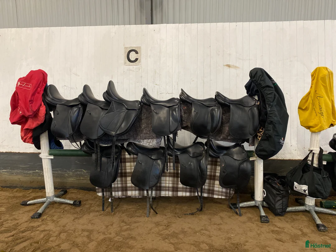 Sadlar hästutrustning till salu: Sadelutprovning Småland 28/3 - Annons 1