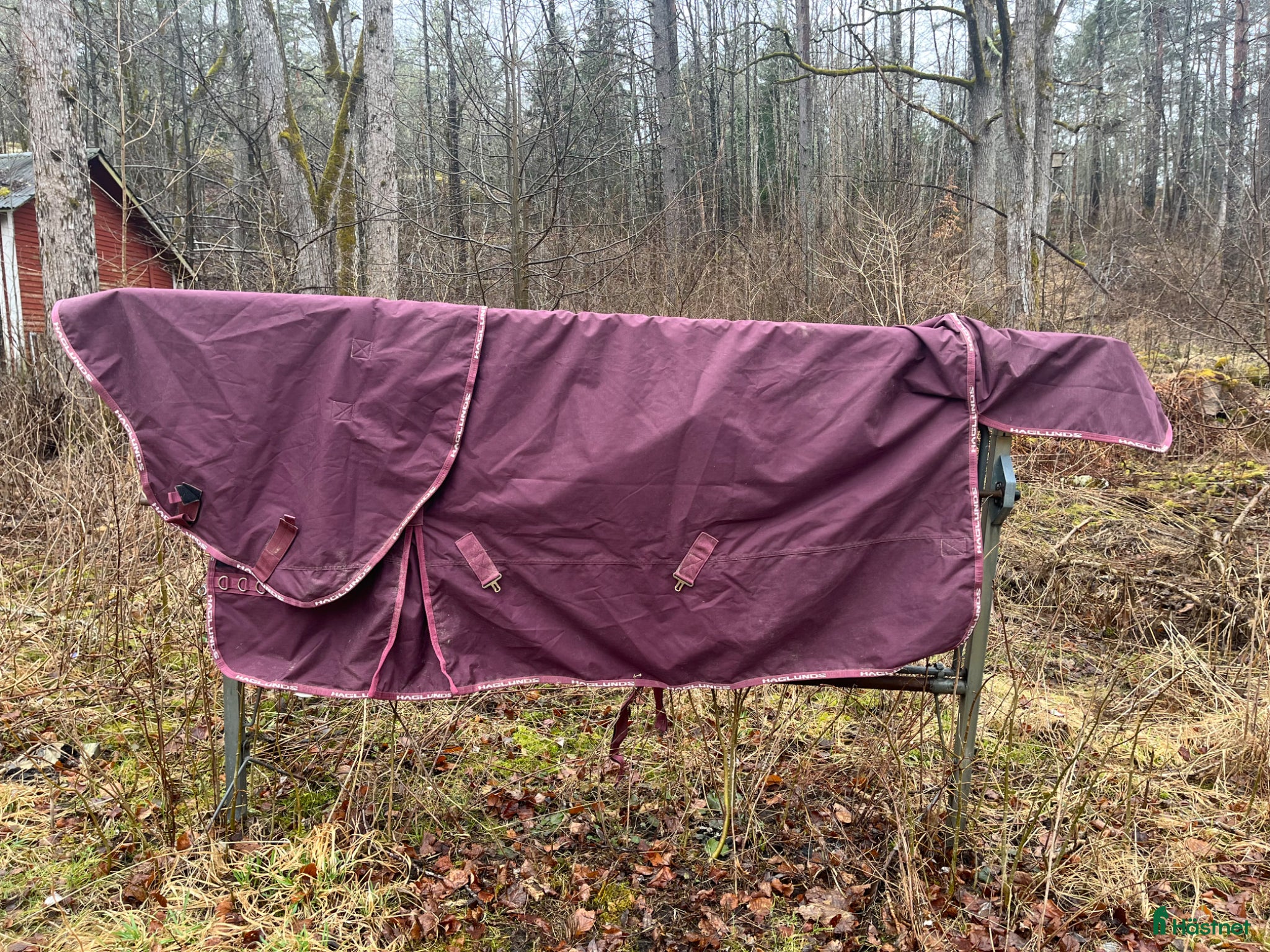 Täcken hästutrustning Haglunds Regntäcke 50 g strl 145 - Annons 4