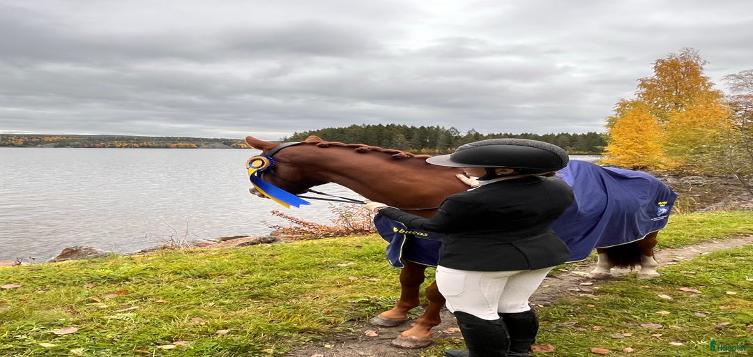 Galleribild {{count}}