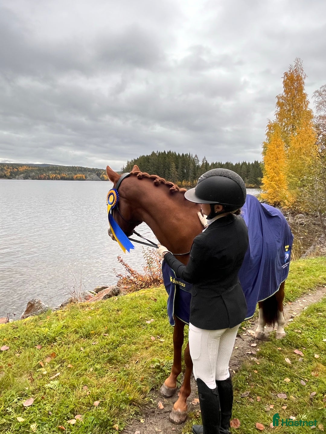 Galleribild {{count}}