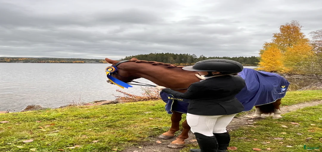 Galleribild {{count}}