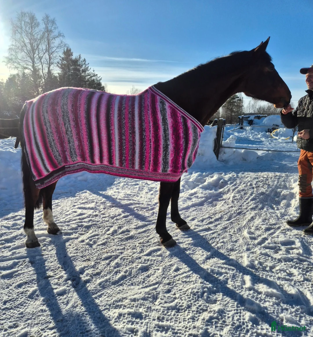 Täcken hästutrustning till salu: Stickat täcke - Annons 4