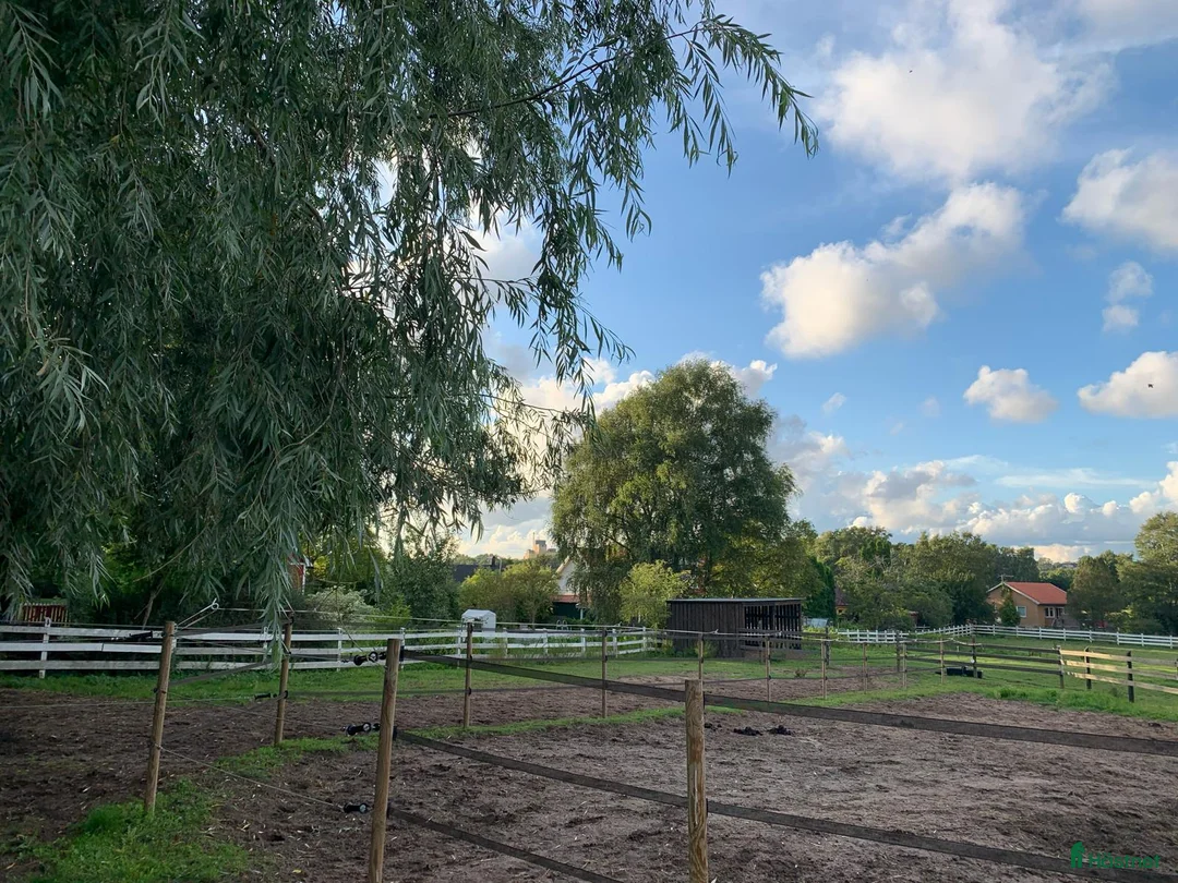  stallplats finnes: Hela stallet & Cottage Rent– Run Your Own Business - Annons 2