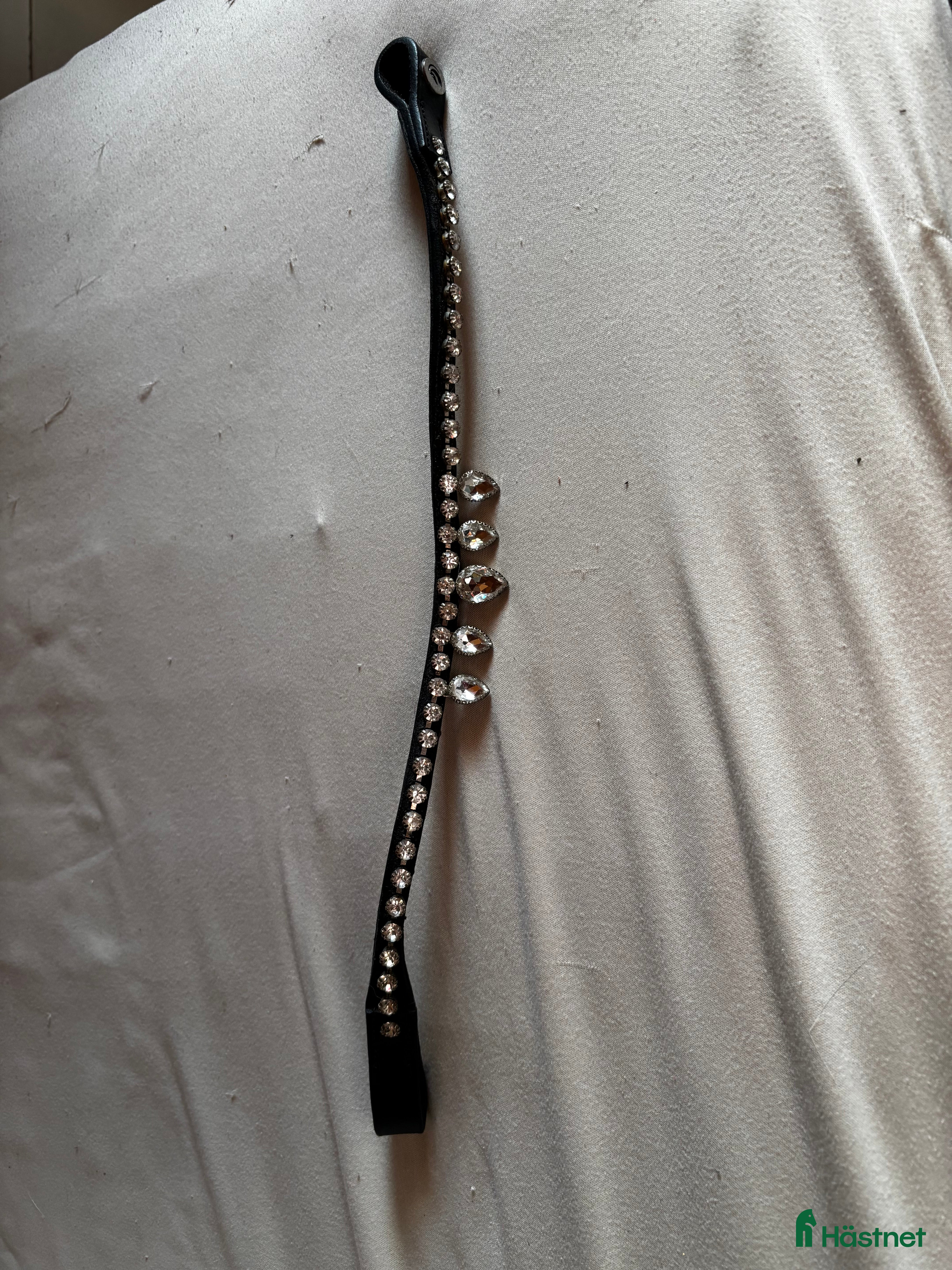 Övrig Hästutrustning hästutrustning Fint pannband till bra pris! i Indal - Annons 10